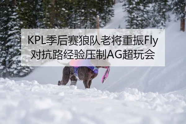 KPL季后赛狼队老将重振Fly对抗路经验压制AG超玩会